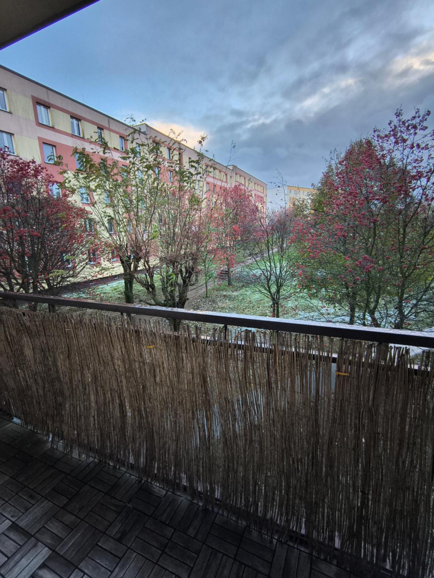 Apartment Tabago 30 Stare Sady